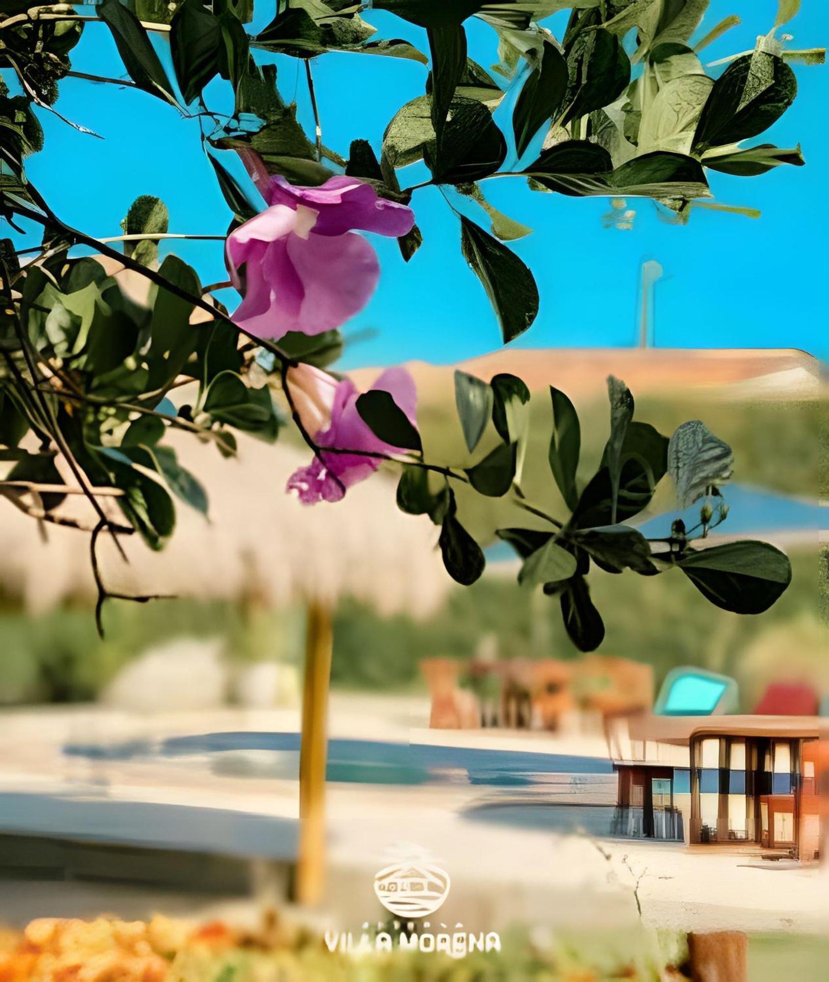 Pousada Villa Morena ปอร์โต เด เปดราส ภายนอก รูปภาพ